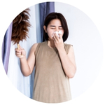 Dust Mite Allergies