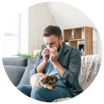 Pet Allergies