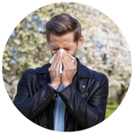 Tree Pollen Allergies