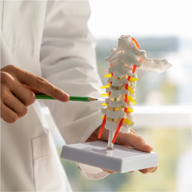 Bone Health