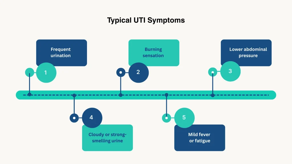 Typical UTI Symptoms