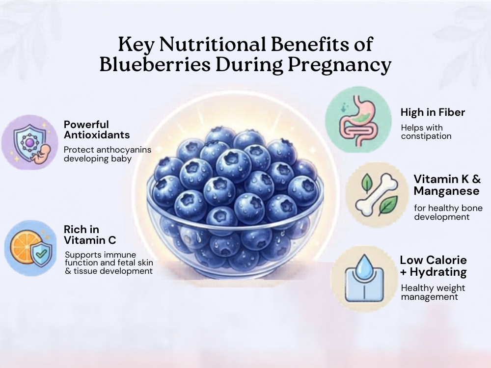 Nutritional Benefits of Blueberries in Pregnancy