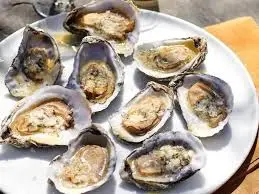 Oysters
